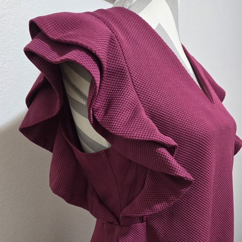 SHE + SKY Magenta Ruffle Short Sleeve V-Neck Dress Size Large - Picture 4 of 11
